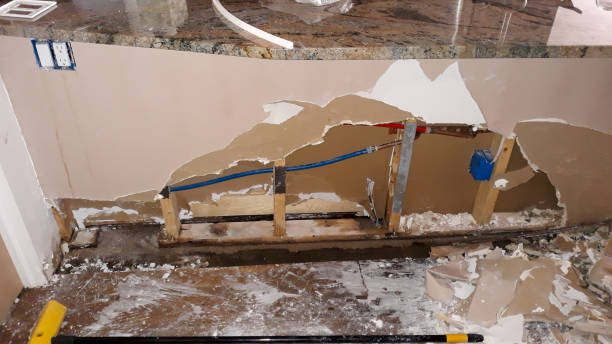 Best Water damage restoration company  in Stepney, CT
