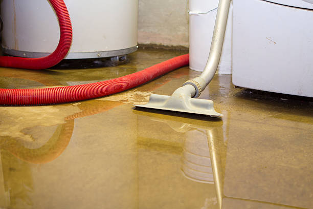 Best Fire Damage Restoration  in Stepney, CT