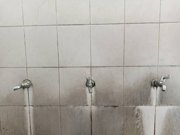 Best Water damage restoration near me  in Stepney, CT