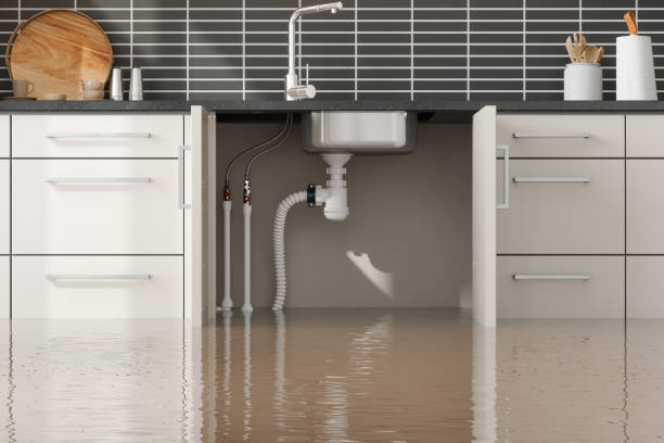 Best Professional water damage repair  in Stepney, CT