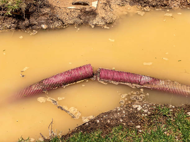Best Carpet water damage restoration  in Stepney, CT